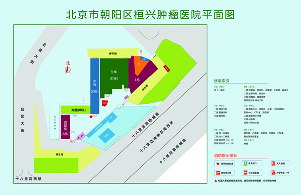 逼逼操视频北京市朝阳区桓兴肿瘤医院平面图